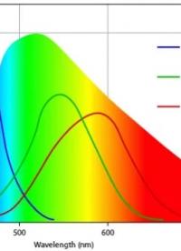 什么是颜色？人眼视锥细胞