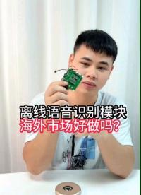  2023海外市場好做嗎？#物聯網 #電子技術 #語音模塊 #語音控制 #語音識別 