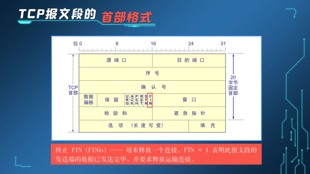  TCP报文段的首部格式(2)#计算机网络 