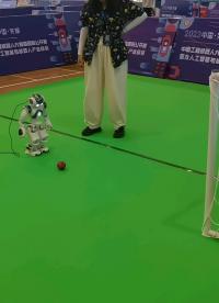 小小機器人微不足道#工作原理大揭秘 #人工智能 