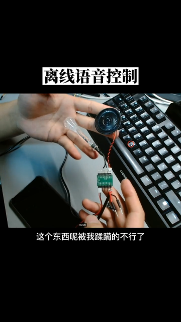 00004 一个简单实用的离线语音处理芯片，接上继电器，就可以随意控制家里的用电器了 #电子爱好者 