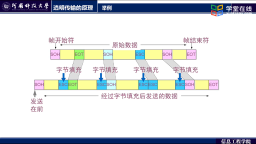 透明传输(2)#计算机网络 