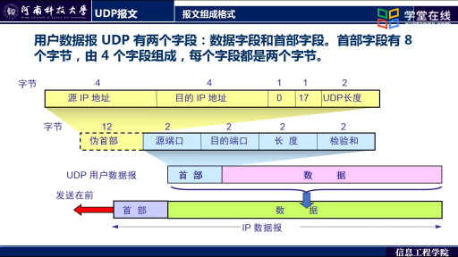 UDP协议及应用(2)#计算机网络 