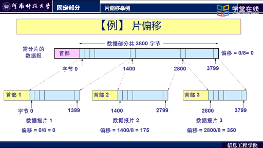 IP数据报的格式(2)#计算机网络 