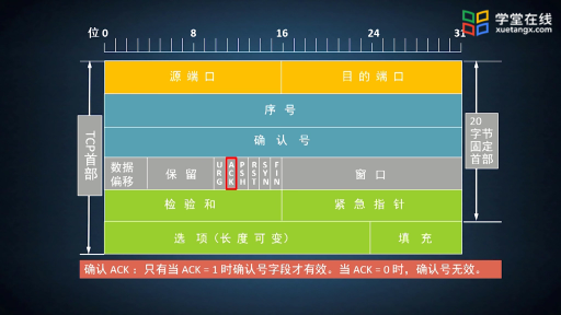 TCP报文段首部格式(2)#计算机网络 