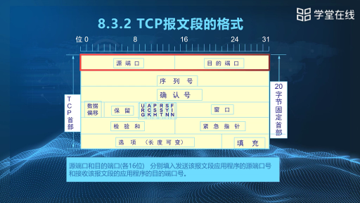 TCP传输控制协议（8.3.1-8.3.2）(2)#计算机网络 