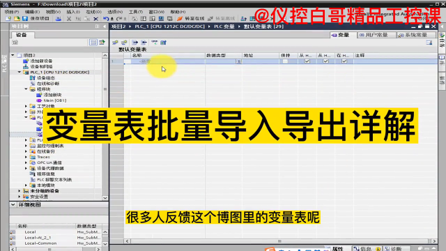 博圖變量表導(dǎo)入導(dǎo)出詳解#plc #電工 #工業(yè)自動(dòng)化 #儀控白哥 #硬聲創(chuàng)作季 