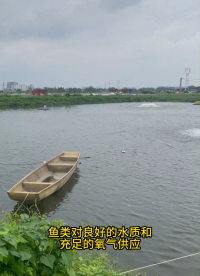 簡單講解無線通信DTU在智慧水產漁業中的應用場景，助力每一個行業發展壯大是我們企業應盡的責任#智慧漁業 