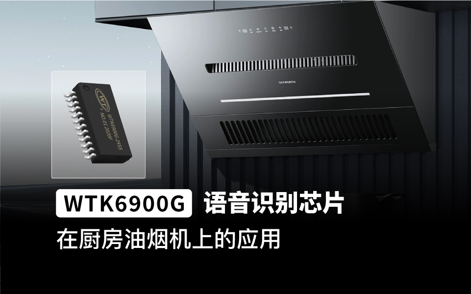 WTK6900G-24SS-M为本地语音触发引擎的辨识芯片，具有低成本、高可靠性、通用性强的特点。