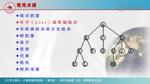樹形結(jié)構(gòu)(2)#大學(xué)計(jì)算機(jī) 