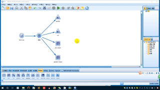 SPSS