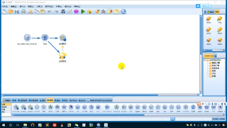 SPSS