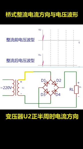 桥式整流电路是怎样工作？动画演示通俗易懂#知识创作人 #知识科普 #电工知识#硬声创作季 