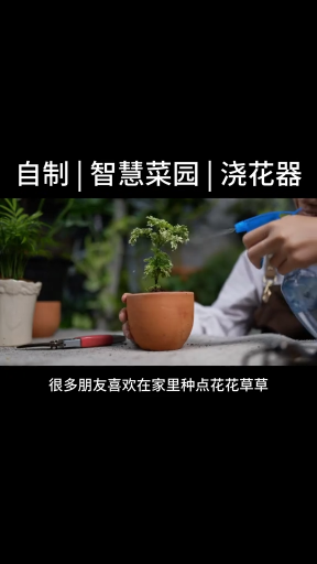 自制  智慧菜园  智能浇花  自动种植  