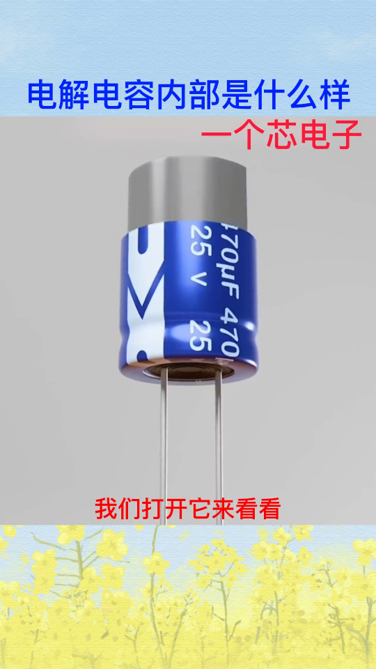 你們拆過電解電容嗎？ 