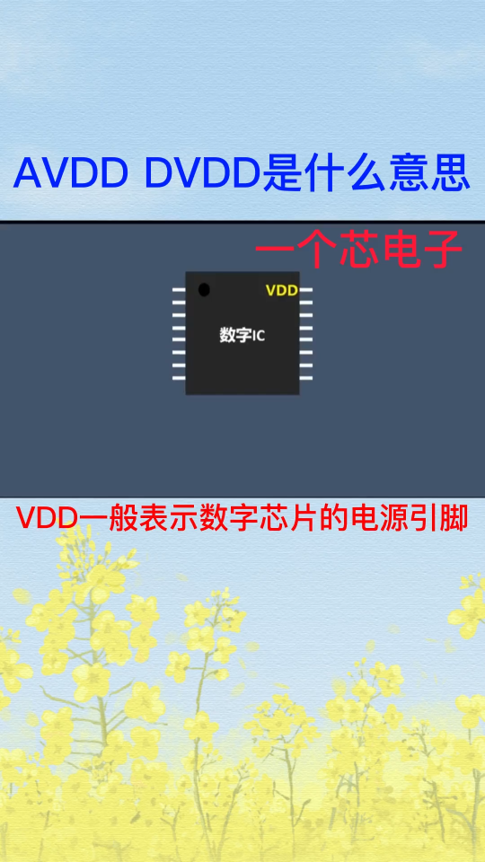 芯片的AVDD和DVDD分別代表什么意思？ 