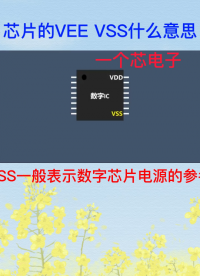 有些芯片的引腳標(biāo)識是VEE和VSS是什么意思呢？ 