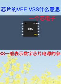 有些芯片的引腳標(biāo)識(shí)是VEE和VSS是什么意思呢？ 