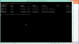 58.7.4 docker系統(tǒng)管理 基礎命令 2 #硬聲創(chuàng)作季 