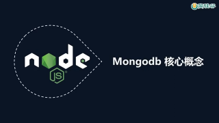 131.131 Mongodb 核心概念