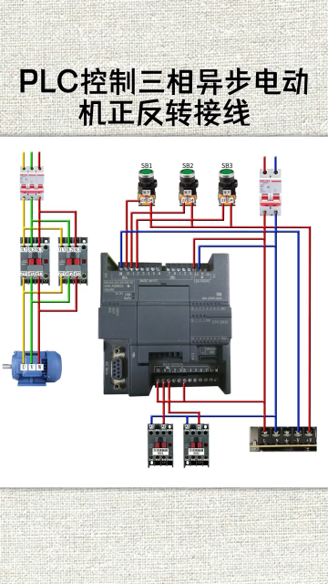 PLC控制三相異步電動機正反轉(zhuǎn)接線#plc#硬聲創(chuàng)作季 