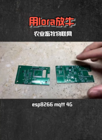 用lora放牛，農(nóng)業(yè)畜牧物聯(lián)網(wǎng)，esp8266 mqtt 4G #lora #物聯(lián)網(wǎng) #智能農(nóng)業(yè)  