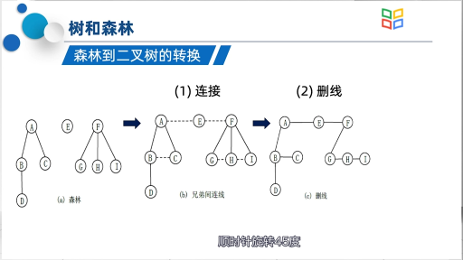  树、森林与二叉树的相互转换(2)#数据结构 