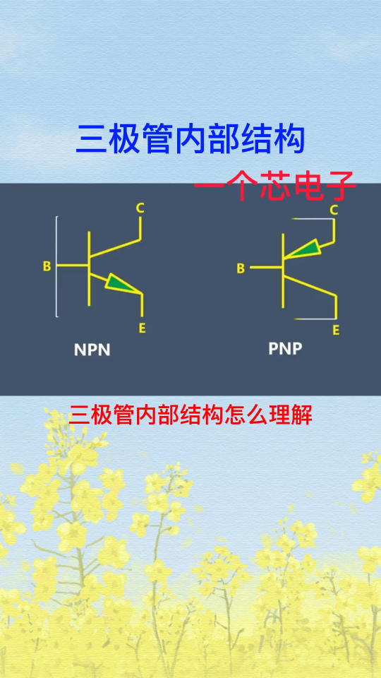 怎么简单理解三极管内部结构 