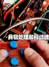 貪吃蛇-食物處理和移動速度調節 16 8點陣版 ，單片機學習筆記37 #51單片機 #C語言 #貪吃蛇 