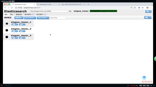 41.8.5 elasticsearch索引精講 2 #硬聲創(chuàng)作季 