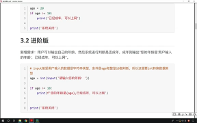 48.最新Python教程19天從入門到精通（Python Tutorial） P49 【第3天】04 網吧上