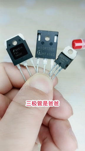 #硬聲創作季  電子知識 場效應管IGBT管三極管的區別